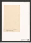 Nitzschia insignis var. mauritiana Grun. (de-Toni-Nr.: Genus 47, Species 2074) Zeichnungen Sammlung Grunow (NHMW-BOT-W0371950)